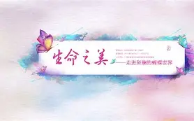 今年会体育入口 -立讯精密股票